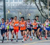 关于马拉松夜战：陇右灰熊队鏖战雪域貔貅队，速度优势明显全面提速抢占先机的信息
