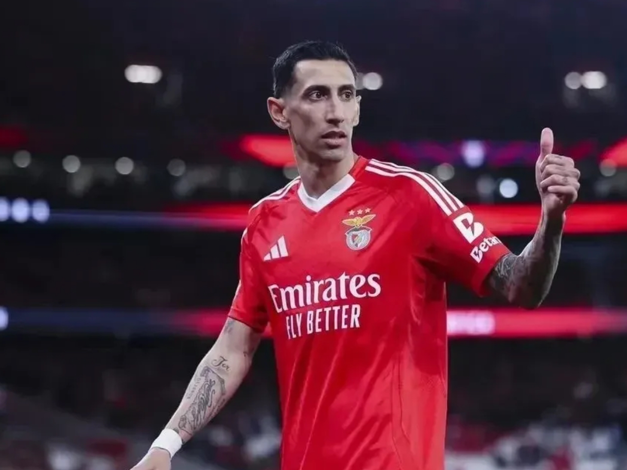  本菲卡足球俱乐部官网 